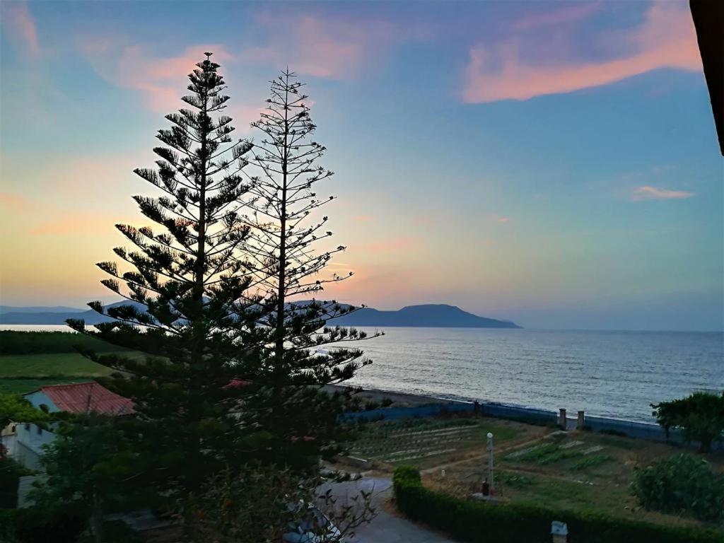 Musela Studios Episkopi-Chania Eksteriør billede